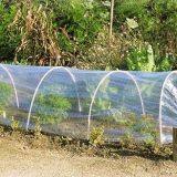 PE Greenhouse Film thumbnail-2