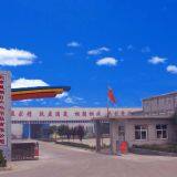 Beijing Sunday Campers Co. Ltd company overview - view 1 thumbnail