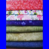 Coloured canvas  Cotton100% 10 s / 5*5*2918 Bagged Shoe Fabric