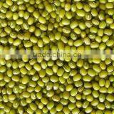 Organic Green Mung Bean thumbnail-2