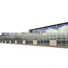Agricultural mushroom, vegetable galvanized steel pipe with plastic film Greenhouse