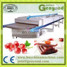 Small Scale Fruit Leather Production Line thumbnail-5