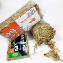 Wholesale Garden Supplies Marimo Peat Moss Substrate Organic Fertilizer Amino Acid Fertilizer 150g/bag Aaaaaa Sphagnum Moss thumbnail-4