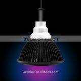 High-Tech Place 24v E27 COB LED Grow Light 21 Watts 50,000+ Hours Lifetime, Red And Blue Color Bands thumbnail-5