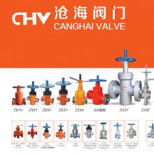 Zhejiang Canghai Valve Technology Co., Ltd. company overview - view 1 thumbnail