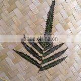 Factory Price Straw Hats Vietnam Wind Water Proof Natural Bamboo Famers Straw Hat Panama Straw Hat for Sale thumbnail-5