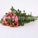 Colorful Sprayed Rose High Quality Fresh Cut Rose Flower thumbnail-2