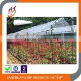 UV-Anti Long-time Time Fiberglass Stake and Shaft Used in Agricultural thumbnail-2