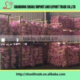 Chinese Bottled Garlic Chinese Garlic/fresh Garlic Garlic thumbnail-6