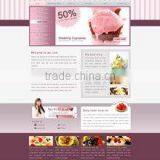 Web Design India