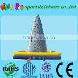 30ftH Inflatable Wall Climbing Rock Mountain