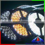Strip LED Light Cold White DC 24V Waterproof IP65 LED Strip Smd 3528 60leds LED Strip Lighting 3 Years Warranty