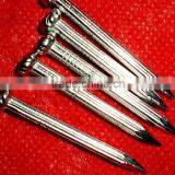 Oval Head Galvanized Concrete Nails thumbnail-2