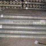 2mm Hot-dipped Galvanized Hexagonal Wire Netting