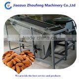 Nut Apricot Almond Husk Shell Kernel Separator Separating Machine(whatsapp:13782789572) thumbnail-3