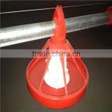 Steel Structure Shed Design Chicken Poultry Shed thumbnail-5