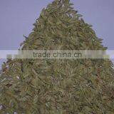 Fennel Seeds / Saunf/Foeniculum Vulgare /