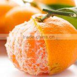 Companies Imported Fruit Wholesale Price Orange thumbnail-1