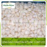 Hot Sale Frozen Normal White Garlic or Pure White Garlic thumbnail-4