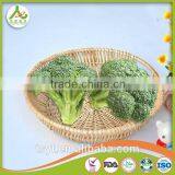 Broccoli Fresh Broccoli Hot Sale Fresh Green Broccoli thumbnail-4
