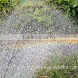 Fashionable Brass Garden Decorative Faucets Watering Golden Nozzle thumbnail-5