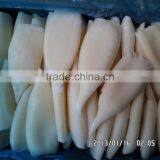 IQF Squid Tube Fish Todarodes Pacificus thumbnail-2