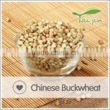 Brown Buckwheat