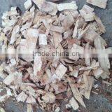Potential Resource Woodchip Support for Paper Industry thumbnail-1