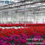 10mm PC Sheet Greenhouses thumbnail-1
