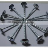 Roofing nail with umbrella head china nails supplier from Linyi