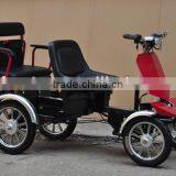 Electric Rickshaw thumbnail-1