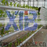 Multi Span Agricultural Glass Greenhouse thumbnail-1