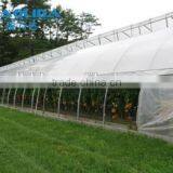 Factory Price BaoLiDa Poly Tunnel Greenhouse For Vegetables /Fruits /Crops thumbnail-3