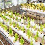 High Tech Multi Span Poly Film Agricultural Commercial Greenhouse for Sale thumbnail-5