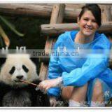 PE Film Laminated PP Nonwoven Fabric thumbnail-3