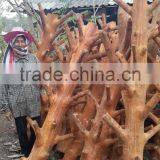 Wooden Coat Rack thumbnail-6