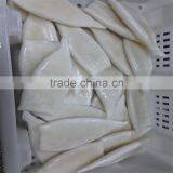 Pacific Squid Tube Frozen thumbnail-4