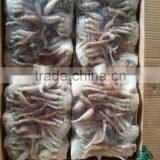 Frozen Sand Crab(Ovalipes Punctatus) 2017 New Landing thumbnail-1