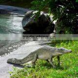Resin Crocodile 4ft thumbnail-1
