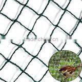 Plastic Mesh HDPE Knitted Vineyard Knotless Bird Proof Net Anti Bird Protection Netting for Vegetable With UV Protection thumbnail-2