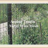 Welded Wire Fences/Vinyl Coated Welded Wire Fences/Wire Fencing Panels