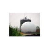 AMA Biogas Power Plant--Capacity From 50-10000m3