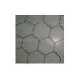 Hexagonal Wire Netting Seller