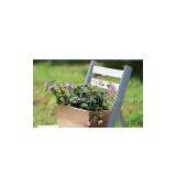 Garden Pots-Wooden Range thumbnail-1