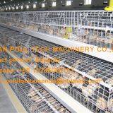 Tanzania Poultry Farm Chicken Shed A Frame Automatic Pullet Cage & Small Chicken Cage With Nipple Drinker & Feeding Trough