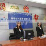 Yueqing Saip Electric Co., Ltd. company overview - view 1 thumbnail