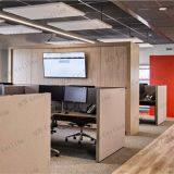 High Performance Acoustic Ceiling Cloud Boards Of Office, Meeting Room, Cinema, Gymnasium, School, Etc