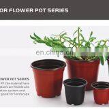 Plastic Gallon Flower Pot thumbnail-2