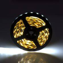 High Brightness Flexible Led Strip 5050 Smd 12v 24v White Color Led Light Strip Light