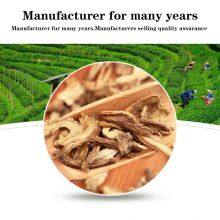 Angelica Root Oil Chinese Herbal Extract Pure Natural Oil thumbnail-2